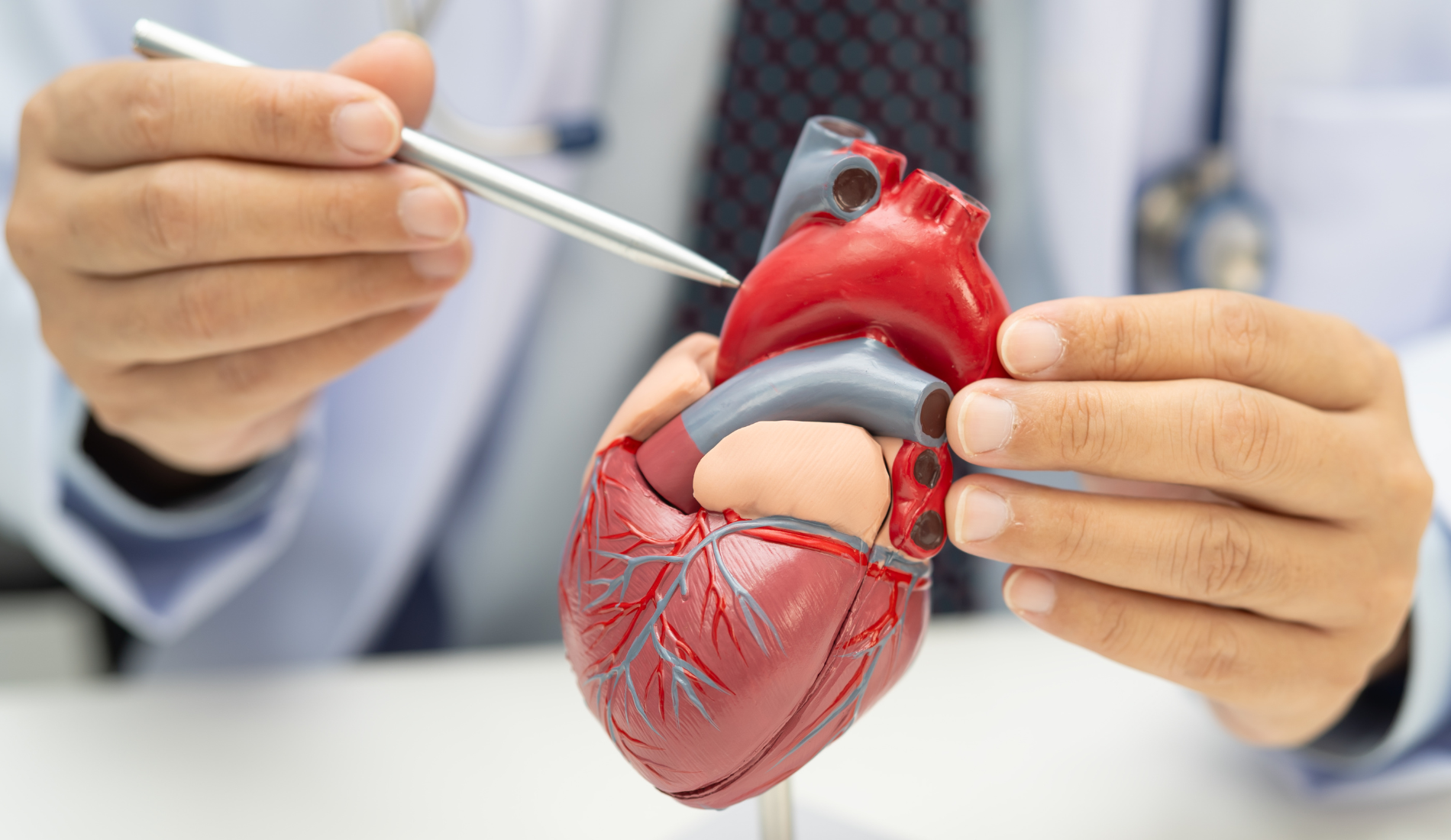 CARDIOLOGIA PRATO