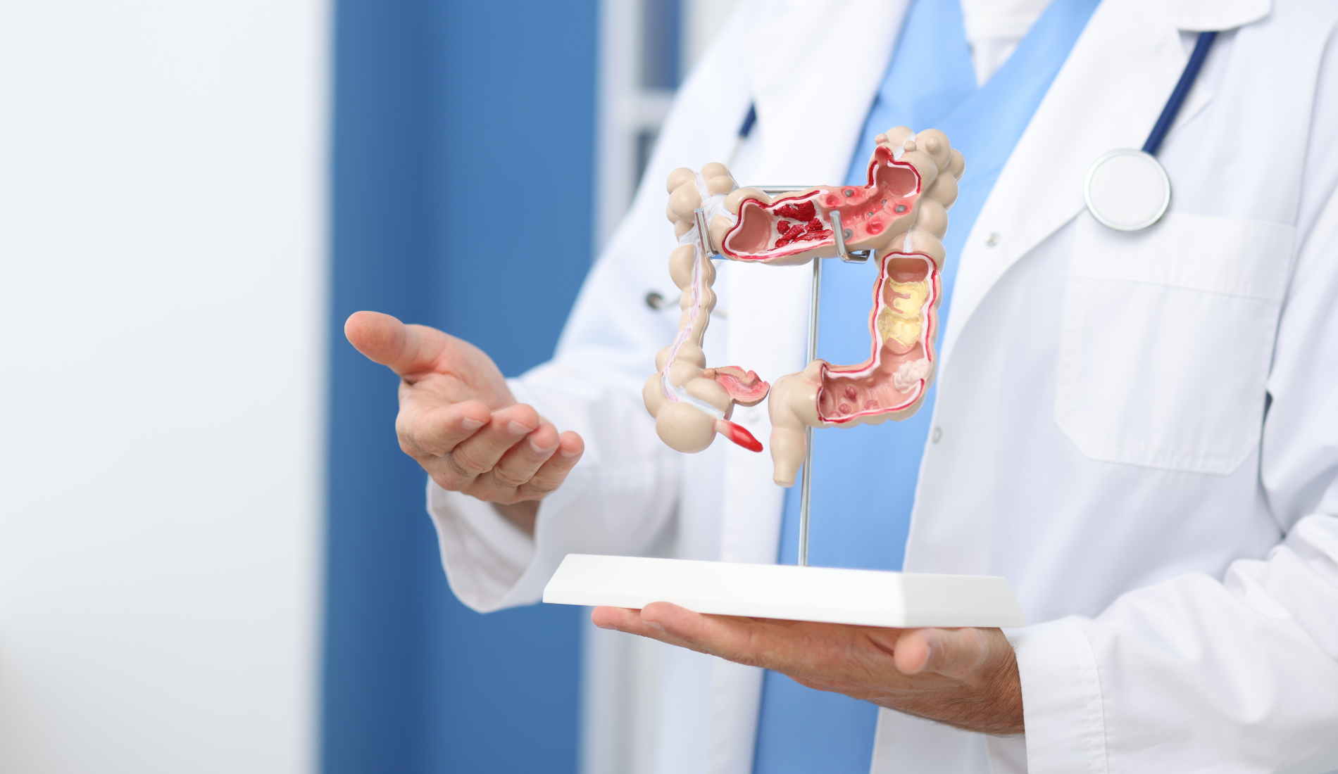 PROCTOLOGIA a Prato